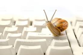 Ordinateur qui rame - Escargot sur un clavier - Informatique06 Nice